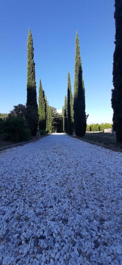 B&B Agriturismo Regno Di Toscana Collesalvetti Bagian luar foto