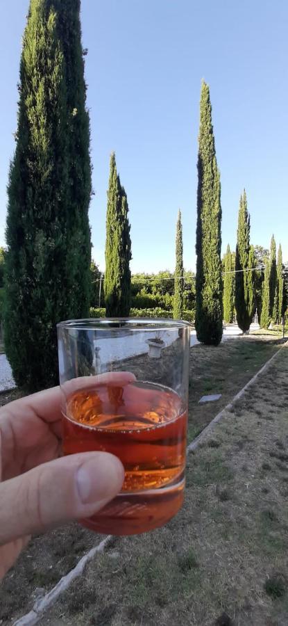 B&B Agriturismo Regno Di Toscana Collesalvetti Bagian luar foto