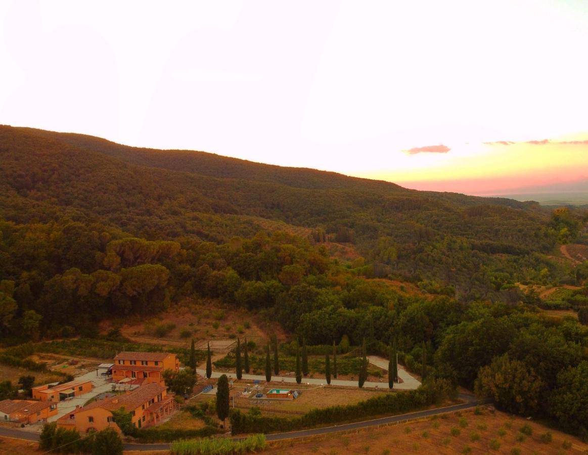 B&B Agriturismo Regno Di Toscana Collesalvetti Bagian luar foto