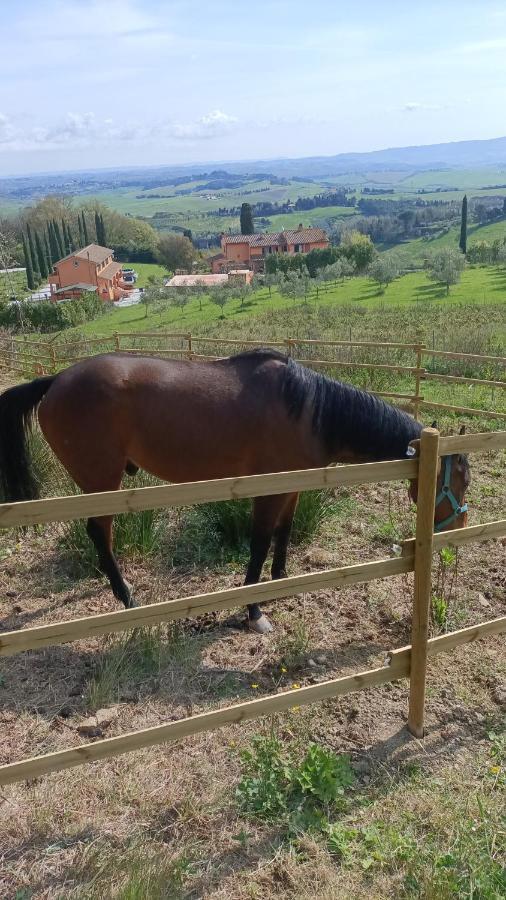 B&B Agriturismo Regno Di Toscana Collesalvetti Bagian luar foto